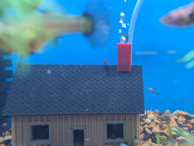 smoking house