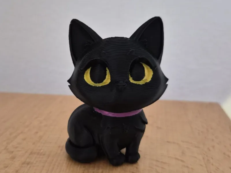 Cute personalizable cat