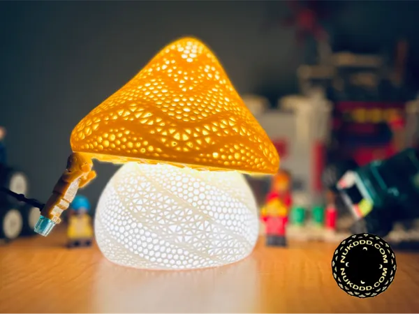 https://makerworld.bblmw.com/makerworld/model/US453048914ced03/design/2025-07-21_fce1fd208964d8.jpeg