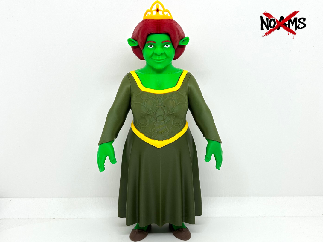 Fiona - No AMS - 1