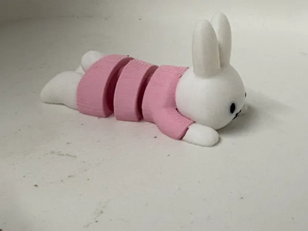 https://makerworld.bblmw.com/makerworld/model/US45340405ba9016/design/5b70ee03cc571c35.jpeg