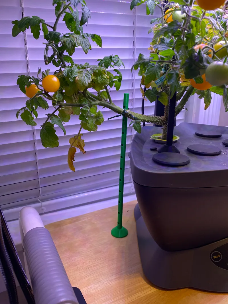 Extensible Plant Support