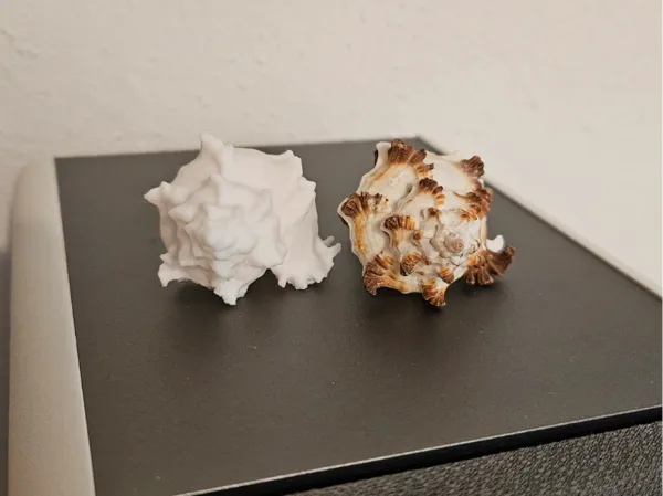 https://makerworld.bblmw.com/makerworld/model/US454812f627640d/design/2025-09-15_5724cf118728c.jpg