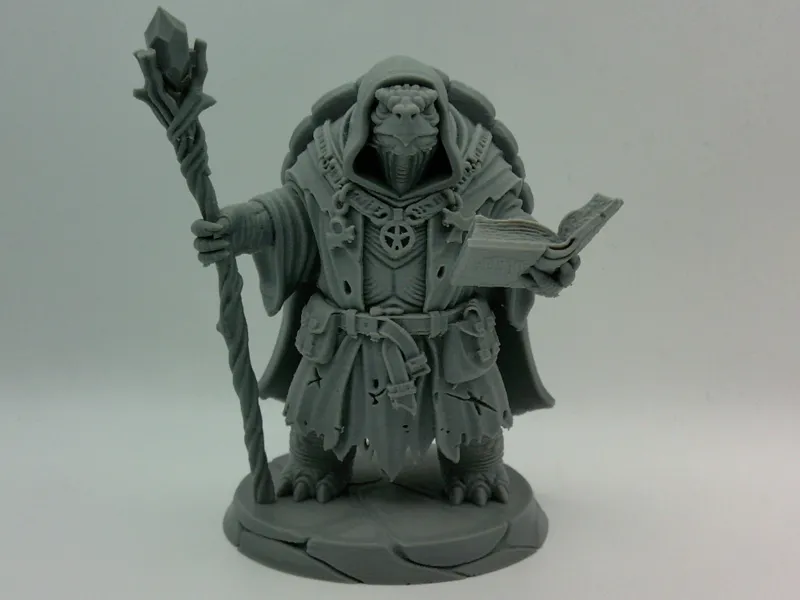 Spellsinger - Wizard Clothahump