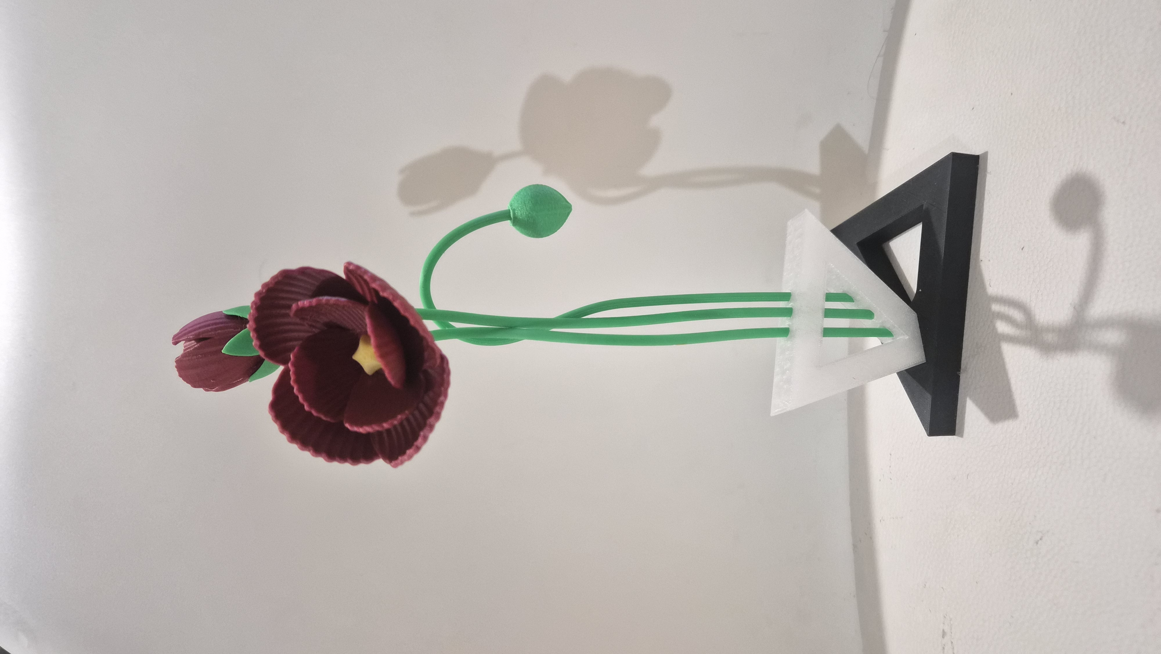 Miniatura 2 do modelo 3D 曼妙多姿的虞美人