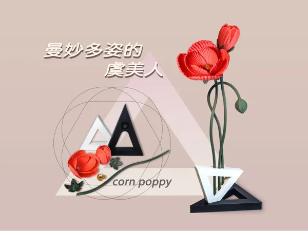 https://makerworld.bblmw.com/makerworld/model/US4553679b387a02/design/77e748aa-88bb-437c-bfaa-251a2a120f61.webp