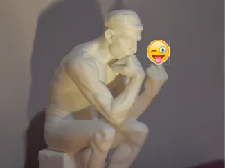 pensatore dito medio