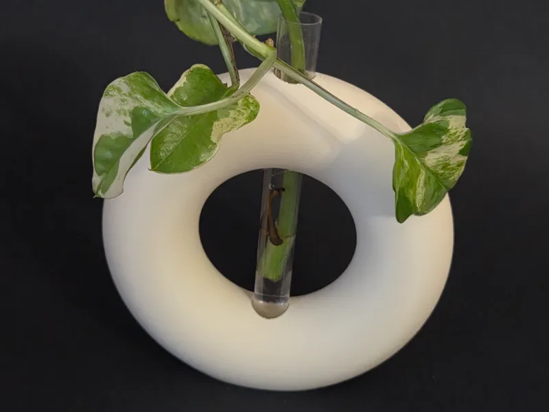 Mini Vase Circle Minimalist decor for glass tube