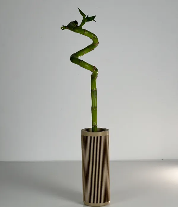 https://makerworld.bblmw.com/makerworld/model/US45589a317ce6f/design/2024-10-15_be887bce714e.jpg