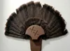 Turkey Fan Mount V2