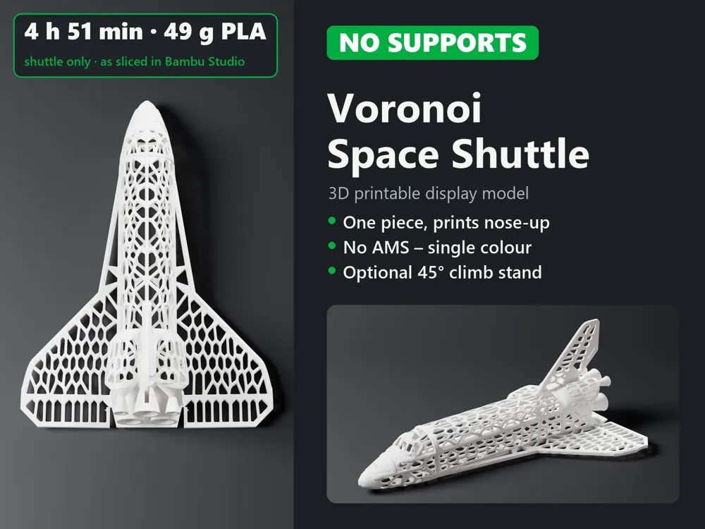 Voronoi Space Shuttle | No Supports | No AMS - Free 3D Print Model ...