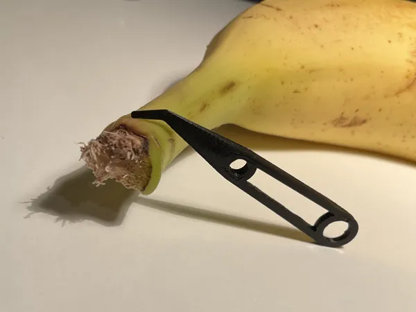 https://makerworld.bblmw.com/makerworld/model/US455ef291f8de18/design/2024-10-09_f9b6d7ad10edb.jpeg