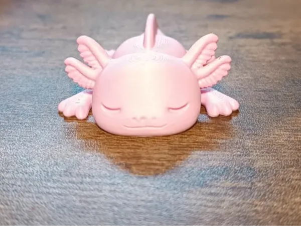 https://makerworld.bblmw.com/makerworld/model/US45619f2b13d986/design/2025-11-17_f9a36cce65b78.jpg