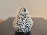 X2D profile