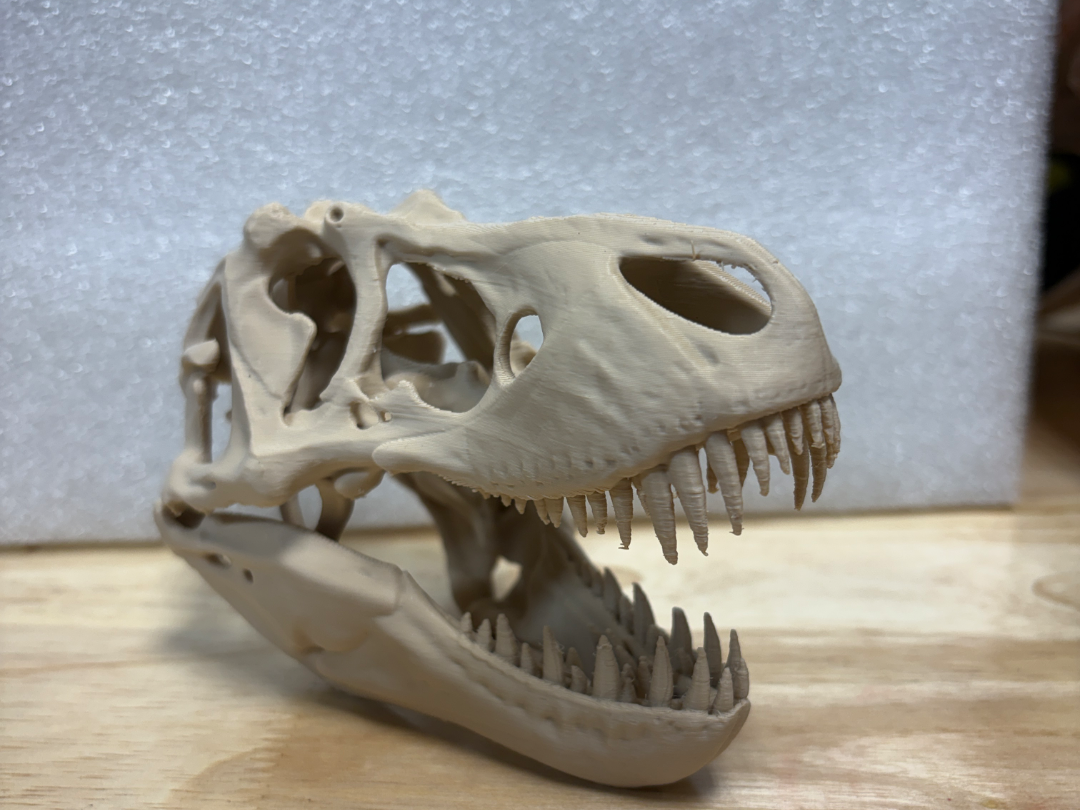 T-Rex Skull 