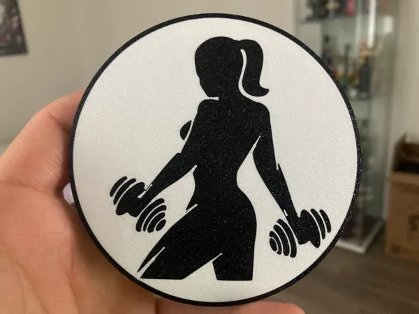 https://makerworld.bblmw.com/makerworld/model/US45655a4bf0fe4f/design/2024-10-17_ab0c5b1478fc9.jpg