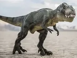 trex with a hat reading a book