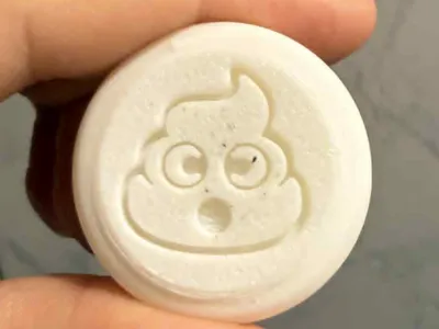 Toilet flush pin