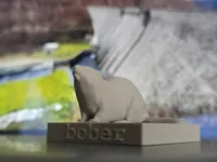 0.2mm layer, 3 walls, 10% infill