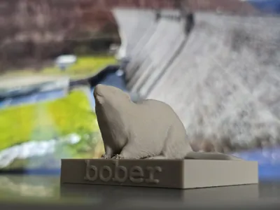 BOBER KRVA – Ultimate Polish Beaver