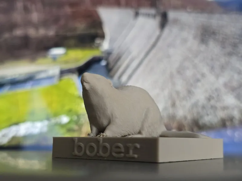 BOBER KRVA – Ultimate Polish Beaver