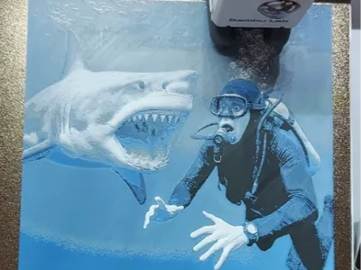 great white shark 
