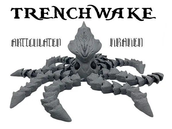 https://makerworld.bblmw.com/makerworld/model/US4570017fa2636/design/2025-05-02_51cff456b81e1.png