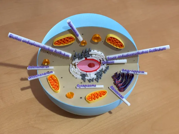https://makerworld.bblmw.com/makerworld/model/US4571f41a74cbe2/design/2025-01-06_54c5c56833194.jpeg