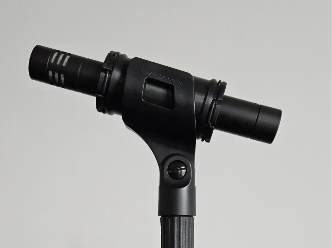 Elastic mount for microphones