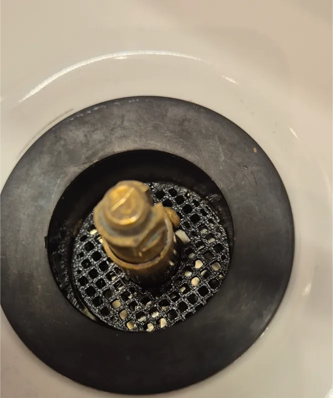 Drain Cover/Hair Catcher (washbasin)
