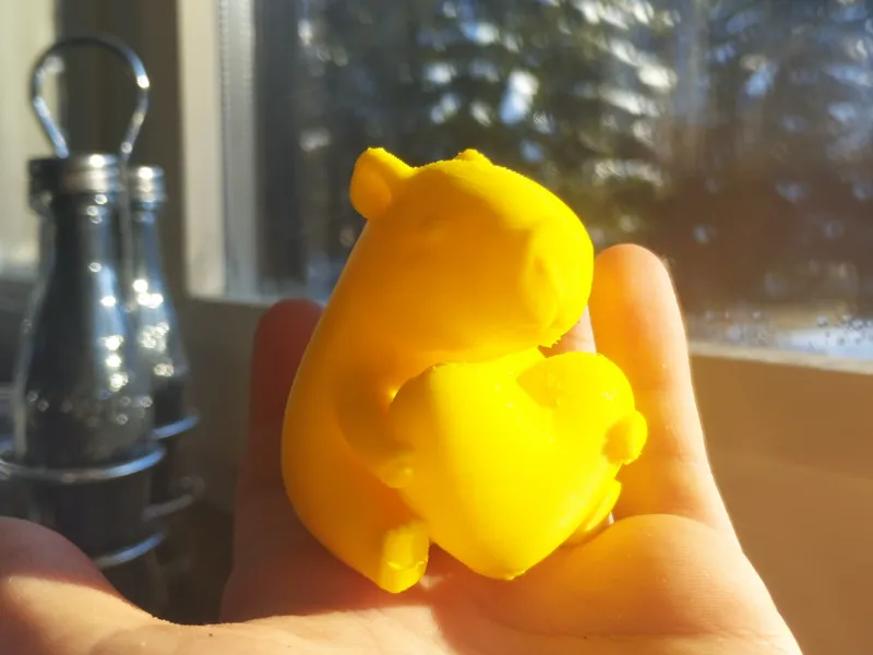 Capybara holding a heart
