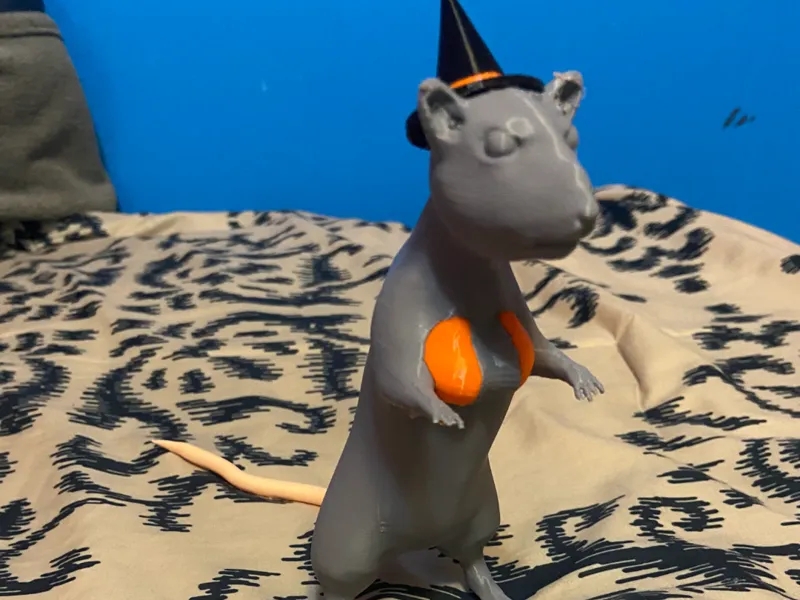Boo(b) the Rat