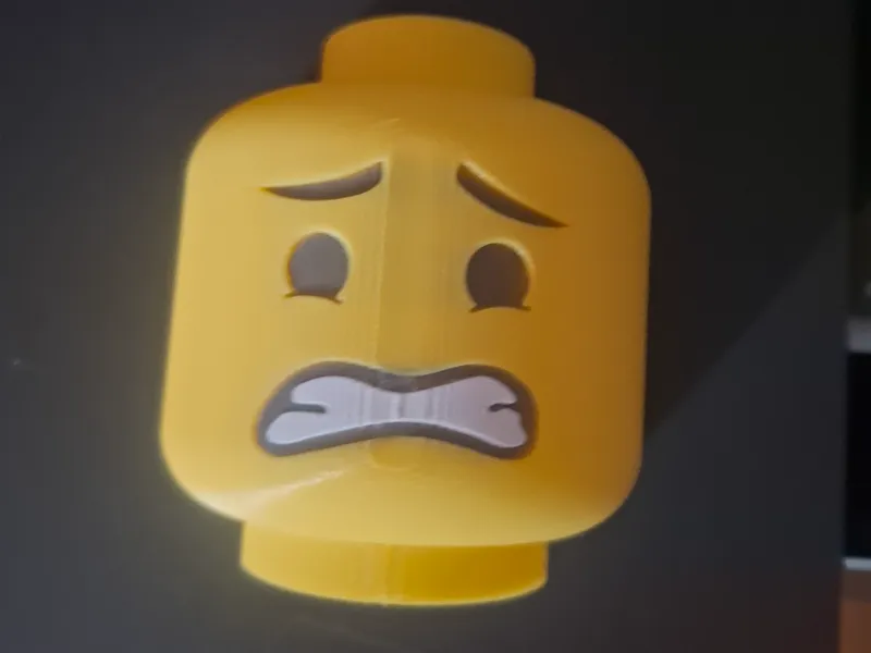 Scared painted brick man face (toilet roll holder)