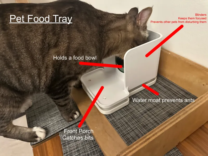 Pet Food Tray (No More Ants!)