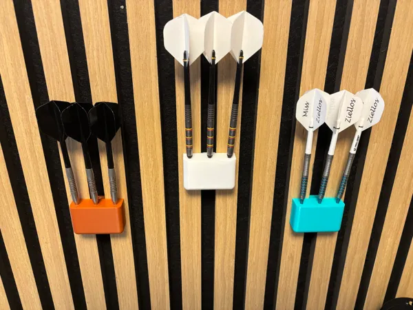 https://makerworld.bblmw.com/makerworld/model/US45860cee786e51/design/2025-01-15_293a0ef217ab88.jpeg