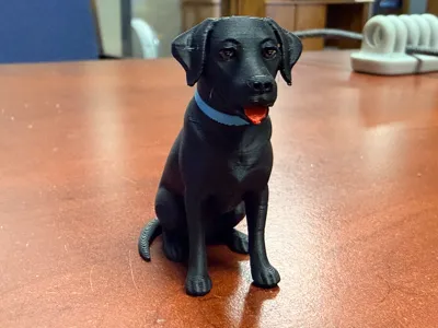Myka the Lab Mix