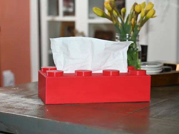 https://makerworld.bblmw.com/makerworld/model/US4587e359d7b6b3/design/2025-04-13_ba7870275c9e3.jpg