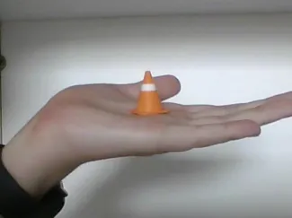 Common Traffic Cone