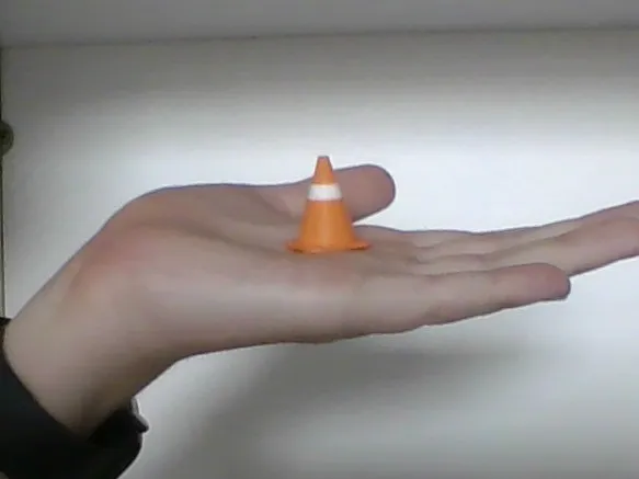 Common Traffic Cone