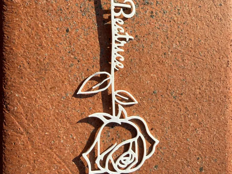 Dedica Rosa + Nome