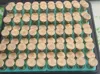 0.2mm layer, 3 walls, 15% infill