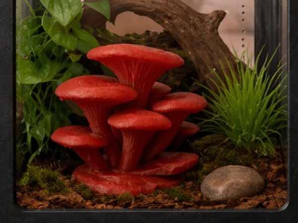 https://makerworld.bblmw.com/makerworld/model/US459d59159a8b1e/design/28c576a2d6db6f14.png