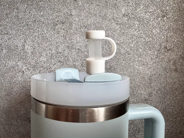 https://makerworld.bblmw.com/makerworld/model/US45a2e4581cfbd5/design/2025-10-31_70c16ed460ea6.jpeg