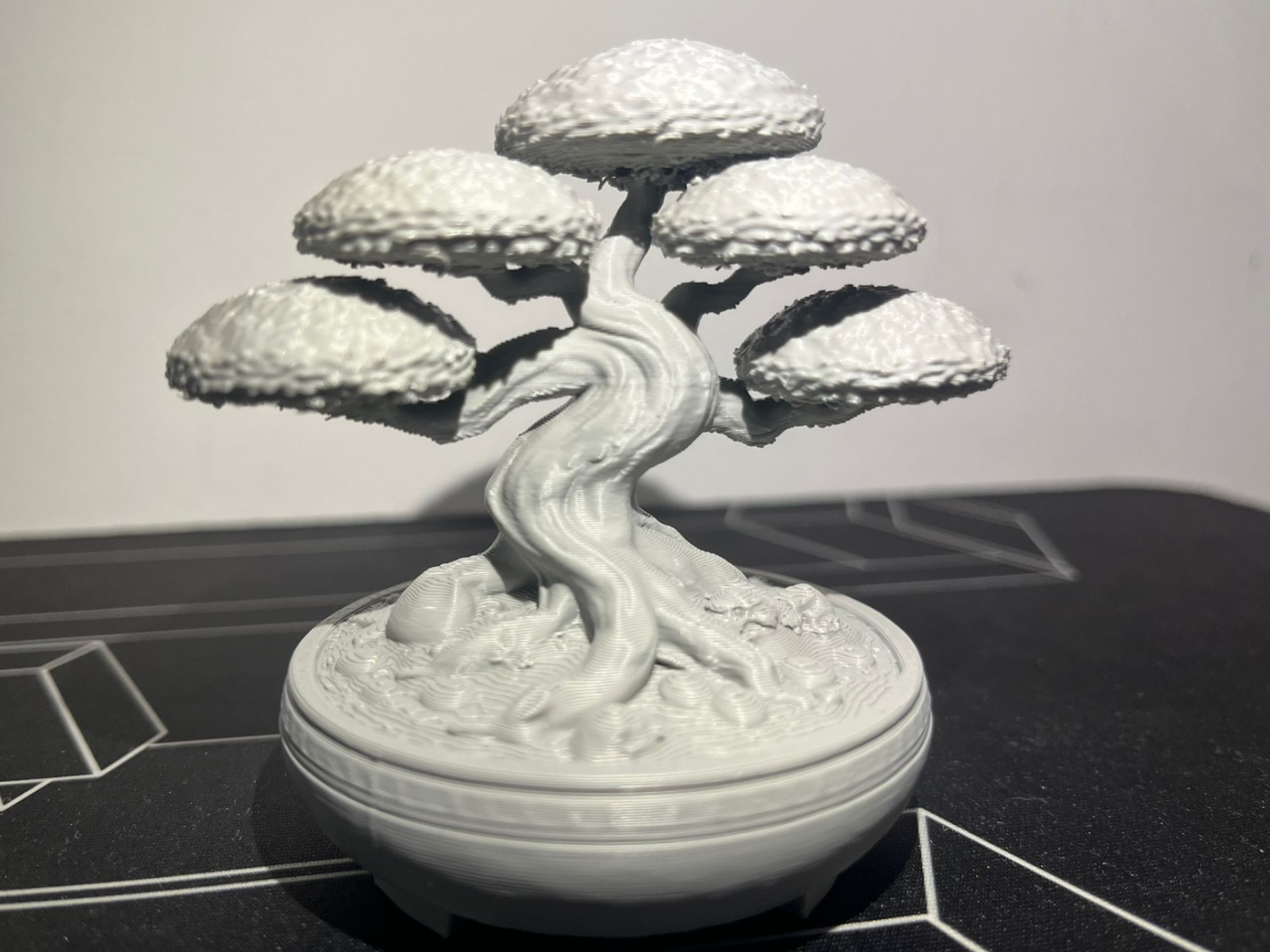 Bonsai-Baum EINFÄRBIG