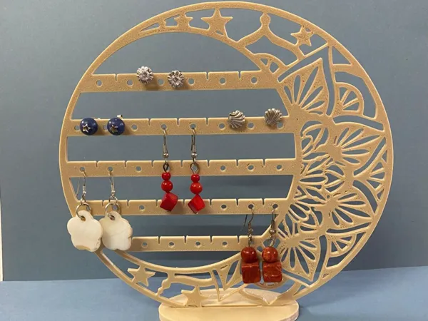Boîte à bijoux organisateur de boucles d'oreilles