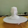 0.1mm layer, 2 walls, 15% infill