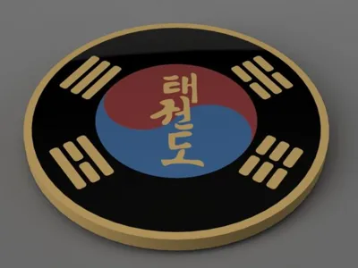 TaeKwonDo Coaster