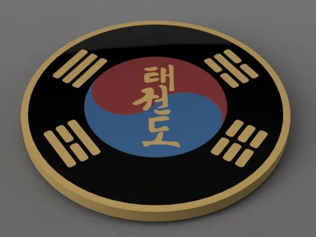 TaeKwonDo Coaster