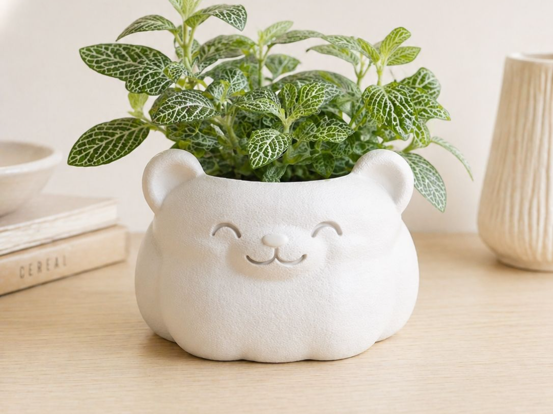 Bear planter pot vaso orsetto felice