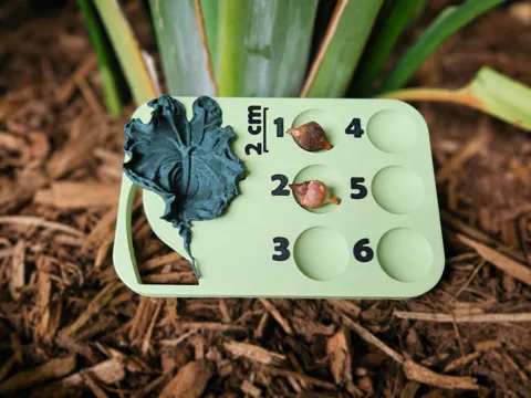 Modelo para impresión 3D: Rhizom / Corm Board — referencia de MakerWorld